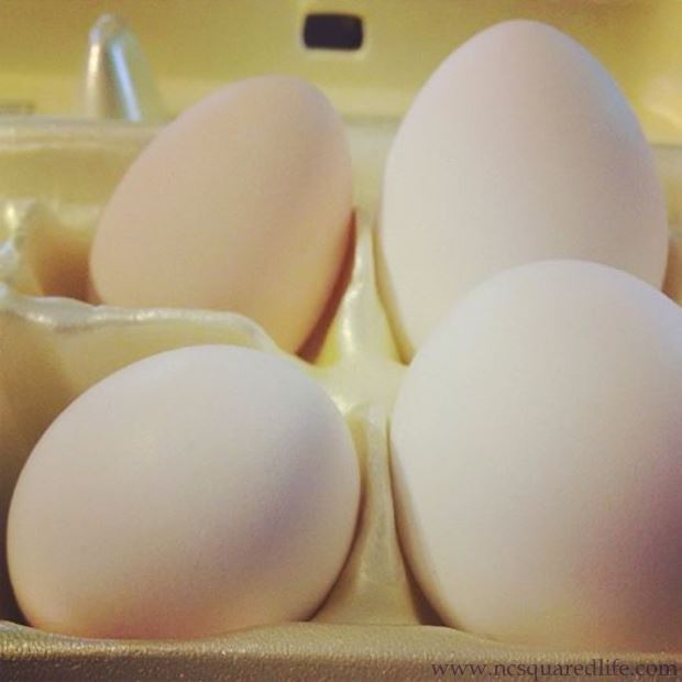 Fresh Eggs | NCsquared Life